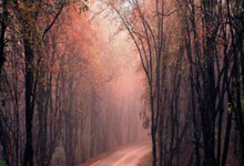 巅峰国际体育:7000名跑友相聚无锡阳山 共赴美好“春日之约”3-30 21:48.