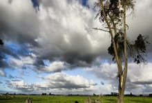 巅峰国际体育:7000名跑友相聚无锡阳山 共赴美好“春日之约”3-30 21:48.