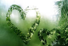 [中超]奥斯卡角球开弧顶 武磊凌空抽射直奔死角.