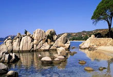 2025网球联合杯赛程出炉,张之臻、郑钦文领衔中国队环球时报.